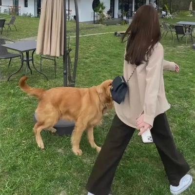 保姆惊魂夜 在线观看